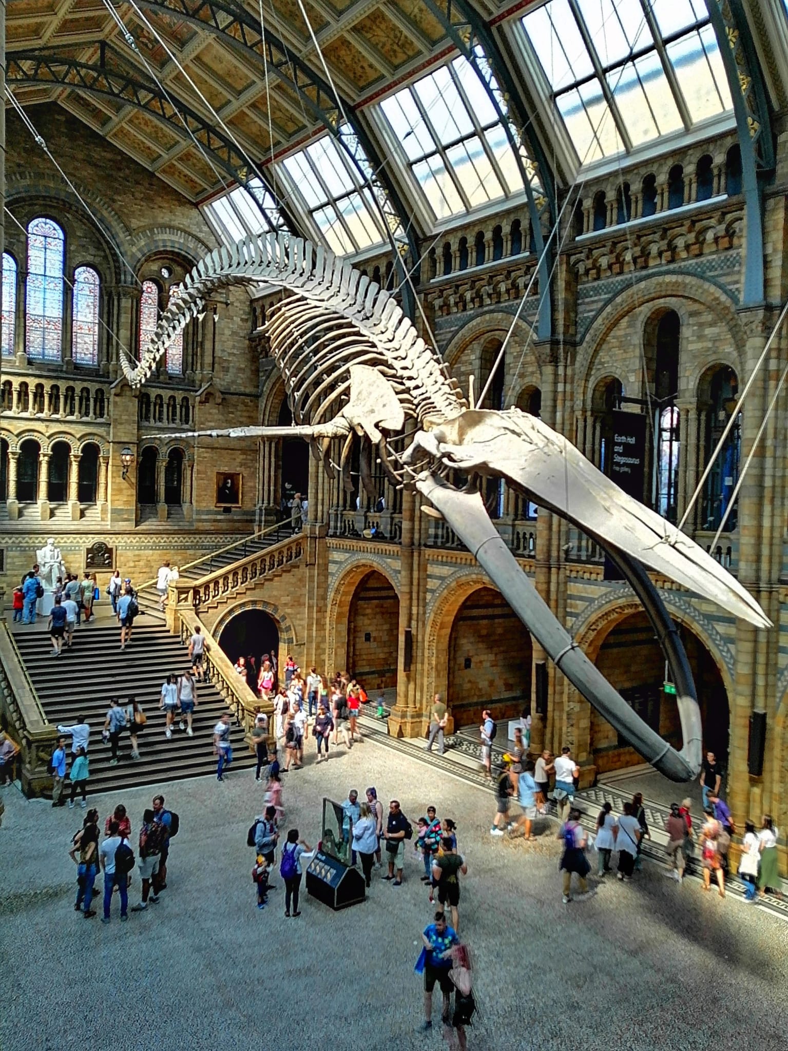 Museo de Historia Natural de Londres