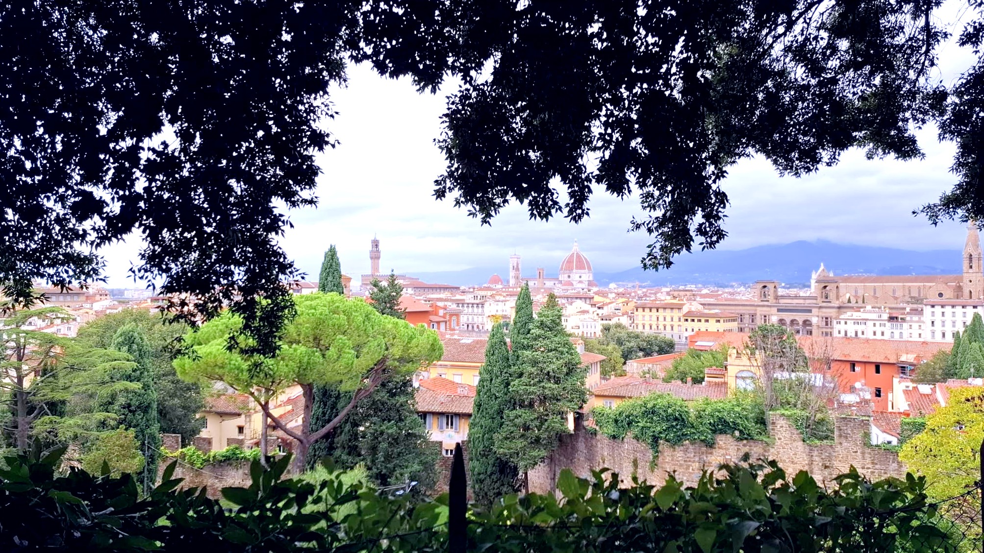 Panoramic view of Florence from Giardino delle Rose