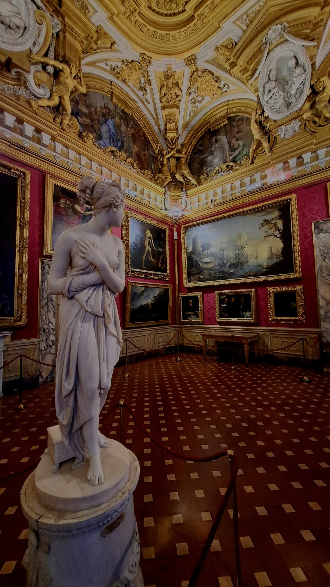 Palatine Gallery - Palazzo Pitti